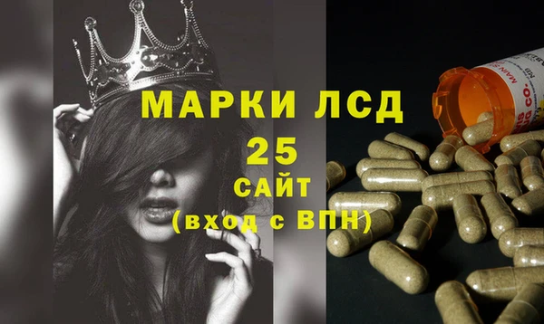 PSILOCYBIN Баксан